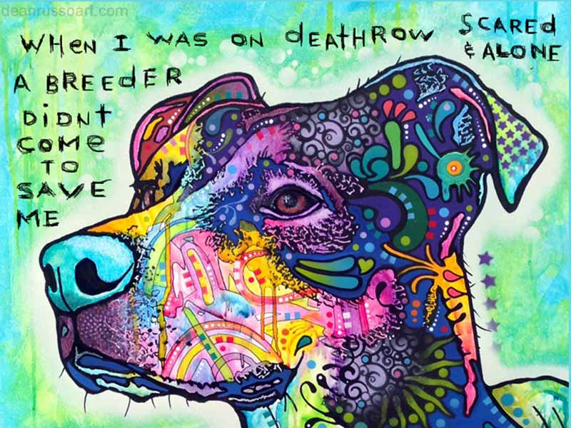When I was on death row, scared & alone, a breeder didn't come to save me. DeanRussoArt.com